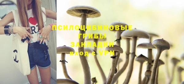 apvp Абинск