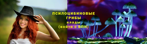 СК Абаза